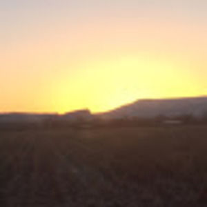 Meet your Posher, Jenni